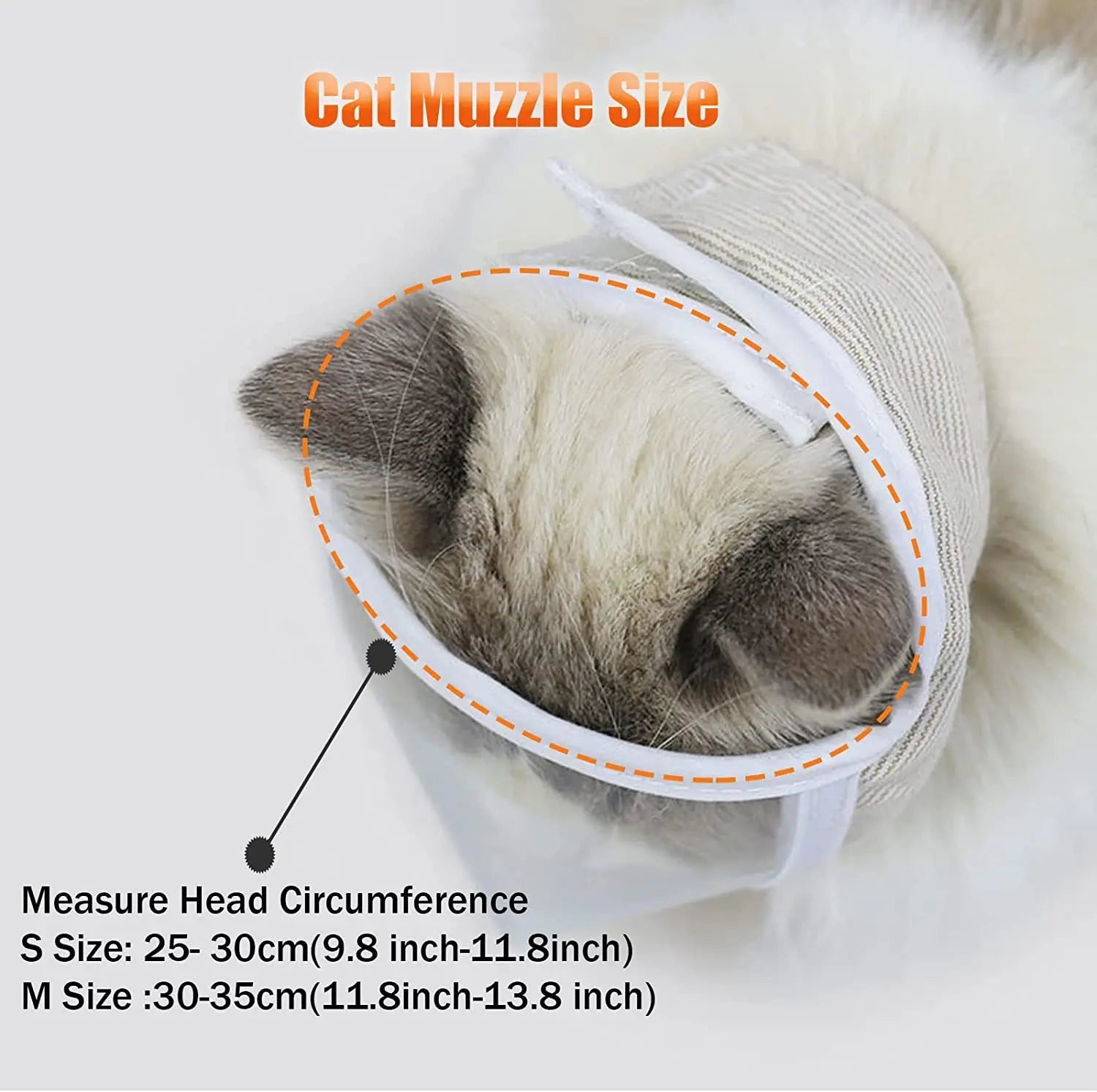 Clear Cat Muzzle