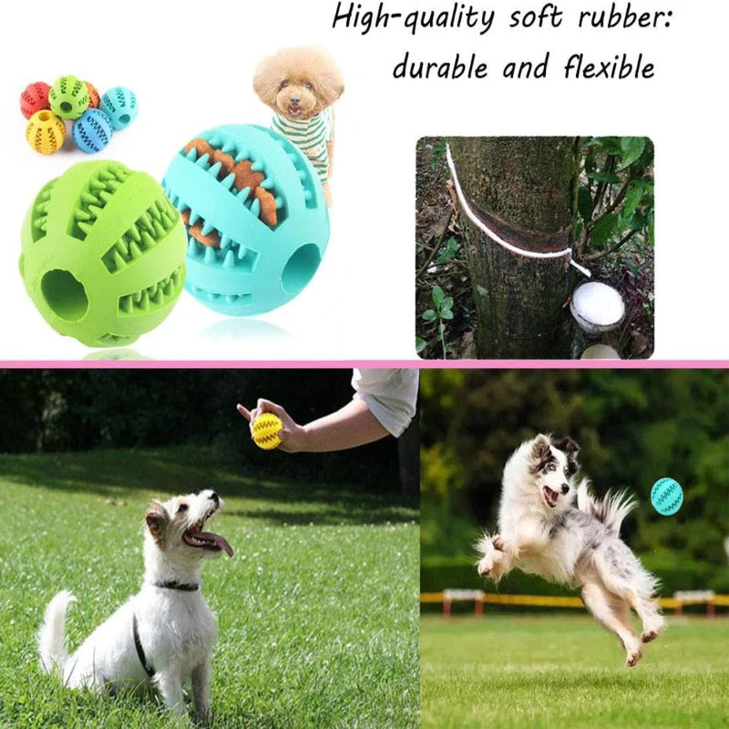 Interactive Treat Ball