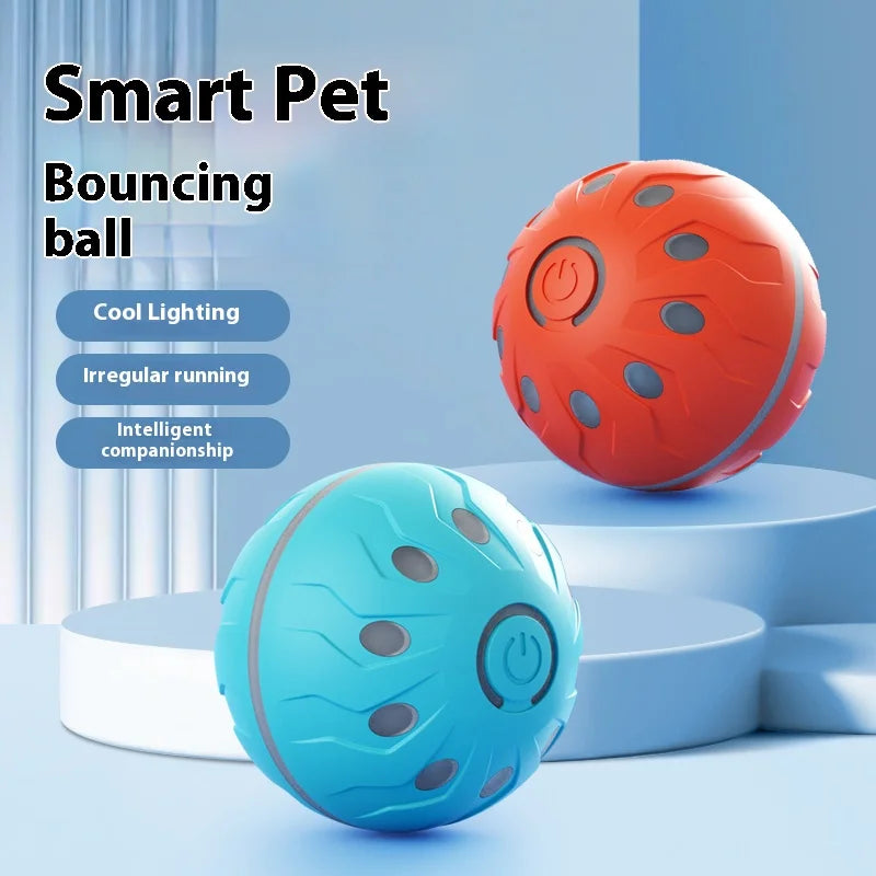 Electric Dog Ball