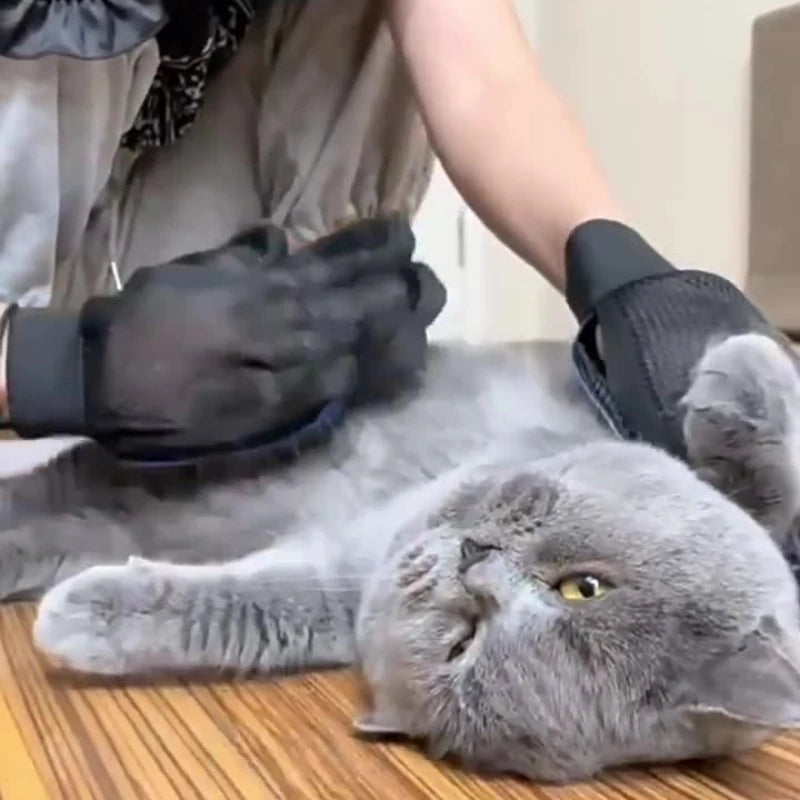 Cats Grooming Gloves