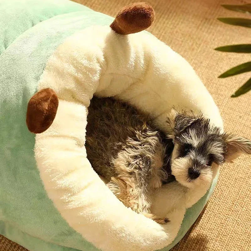 Cozy Slipper Pet Bed House