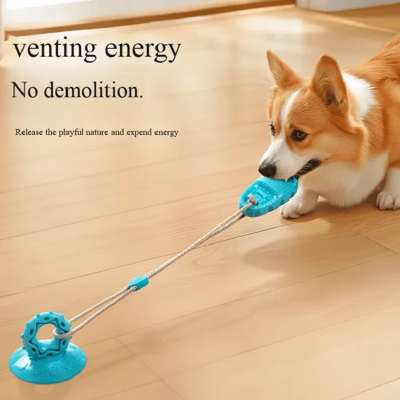 Suction Cup Dog Toy