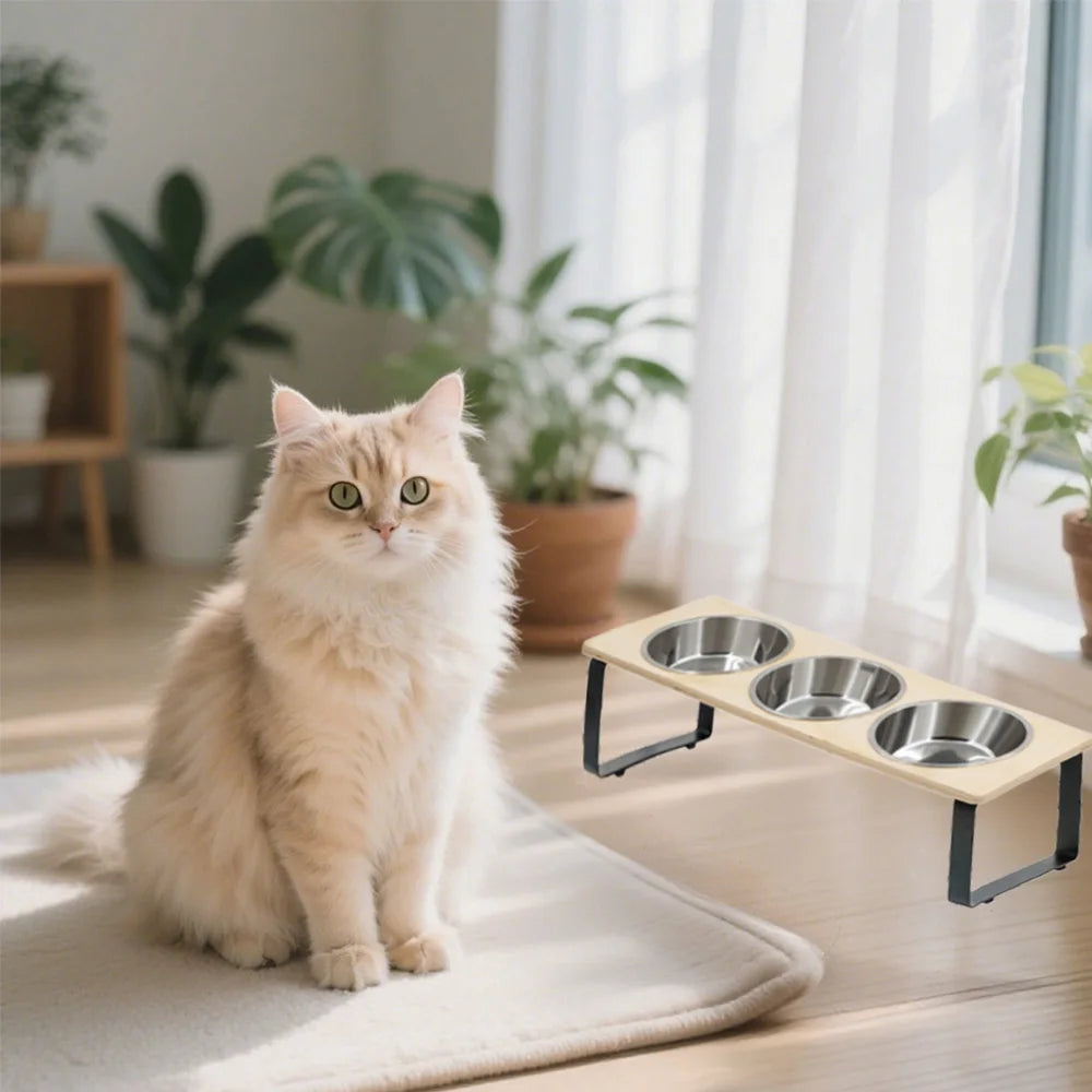 Elevated Tilted Cat Bowls