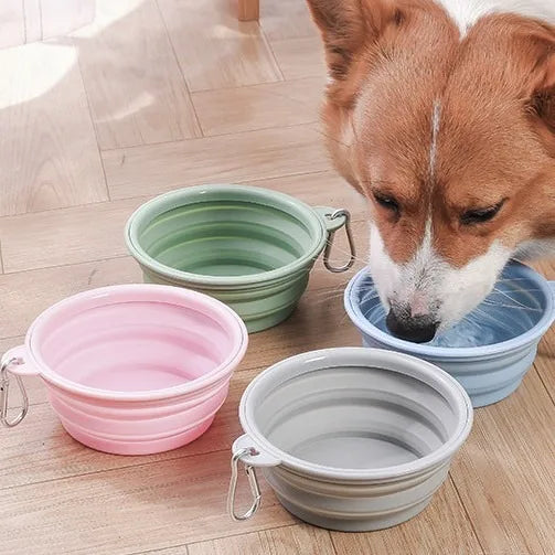 Collapsible Dog Bowl 350ML