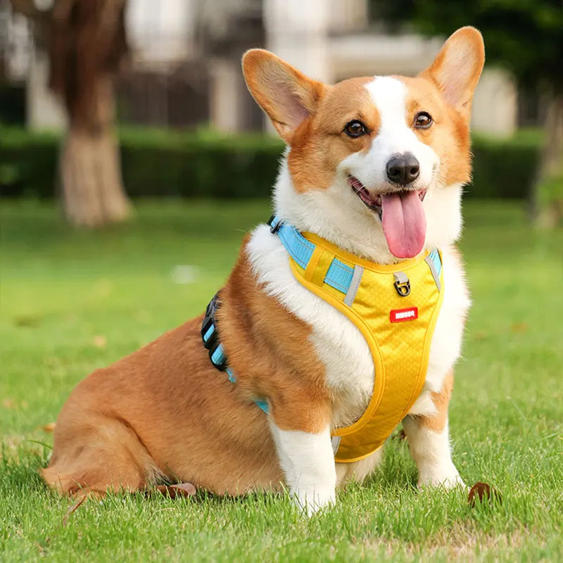 Reflective Adjustable Dog Harness