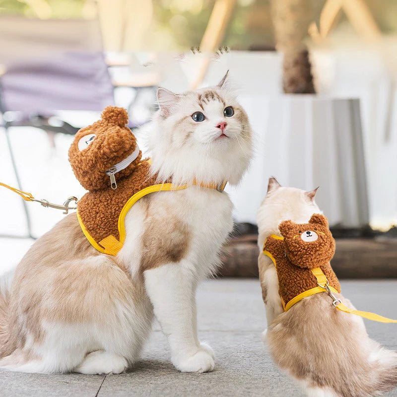 Cute Cat Collar with Name