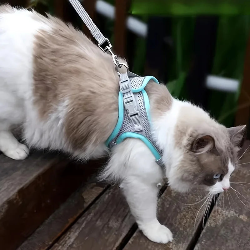 Adjustable Cat Harness