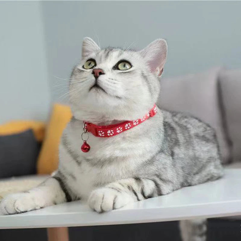 Cute Bell Cat Collar