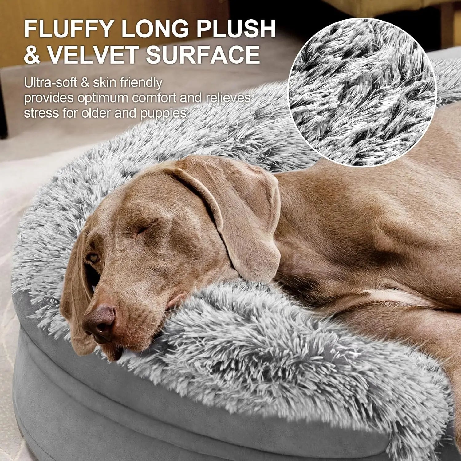 Orthopedic Dog Bed