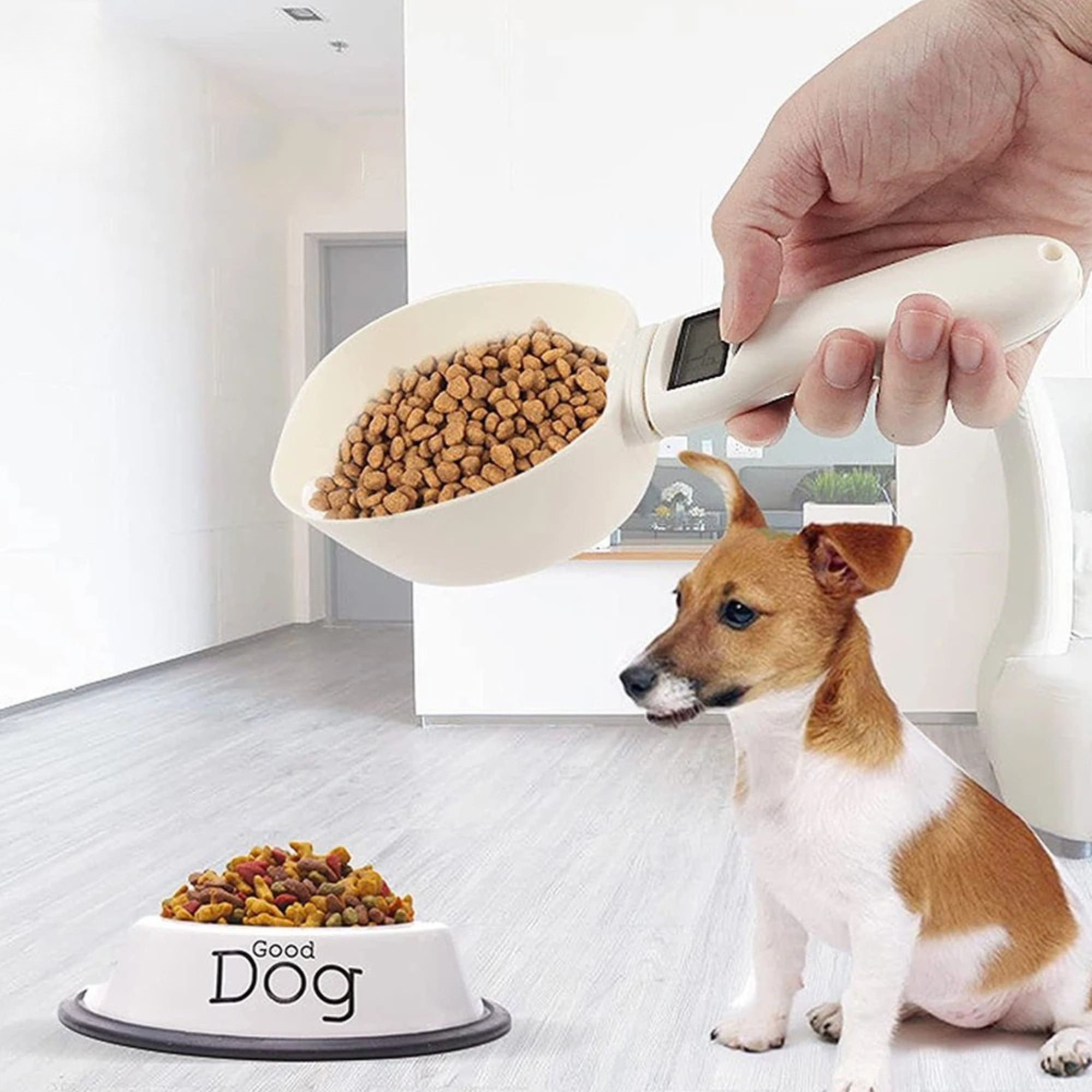 Digital Dog Food Scoop Scale