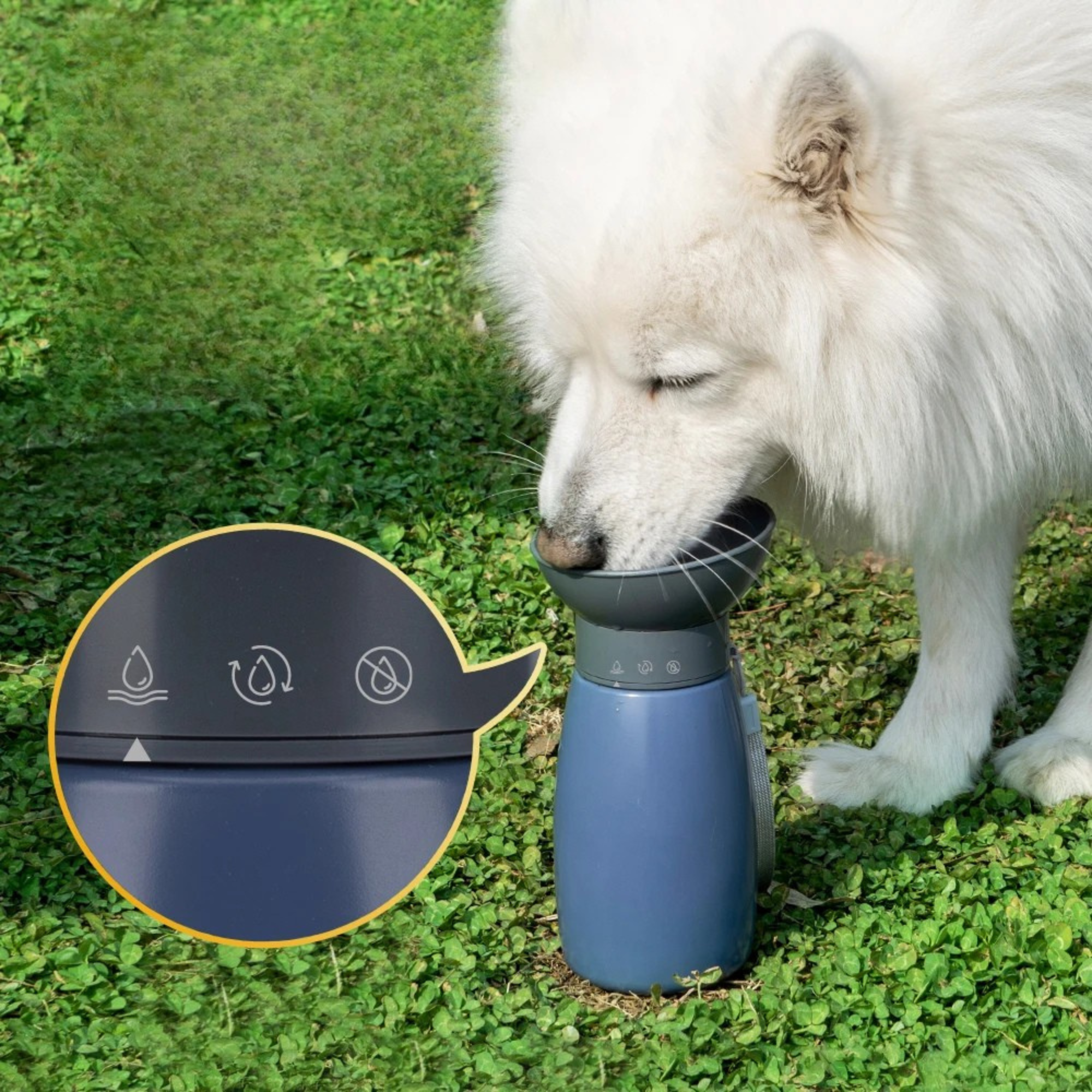 Portable Dog Water Bottle